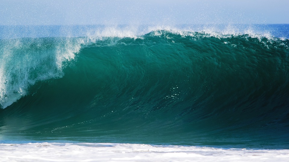 Surf : Nos secrets pour les débutants