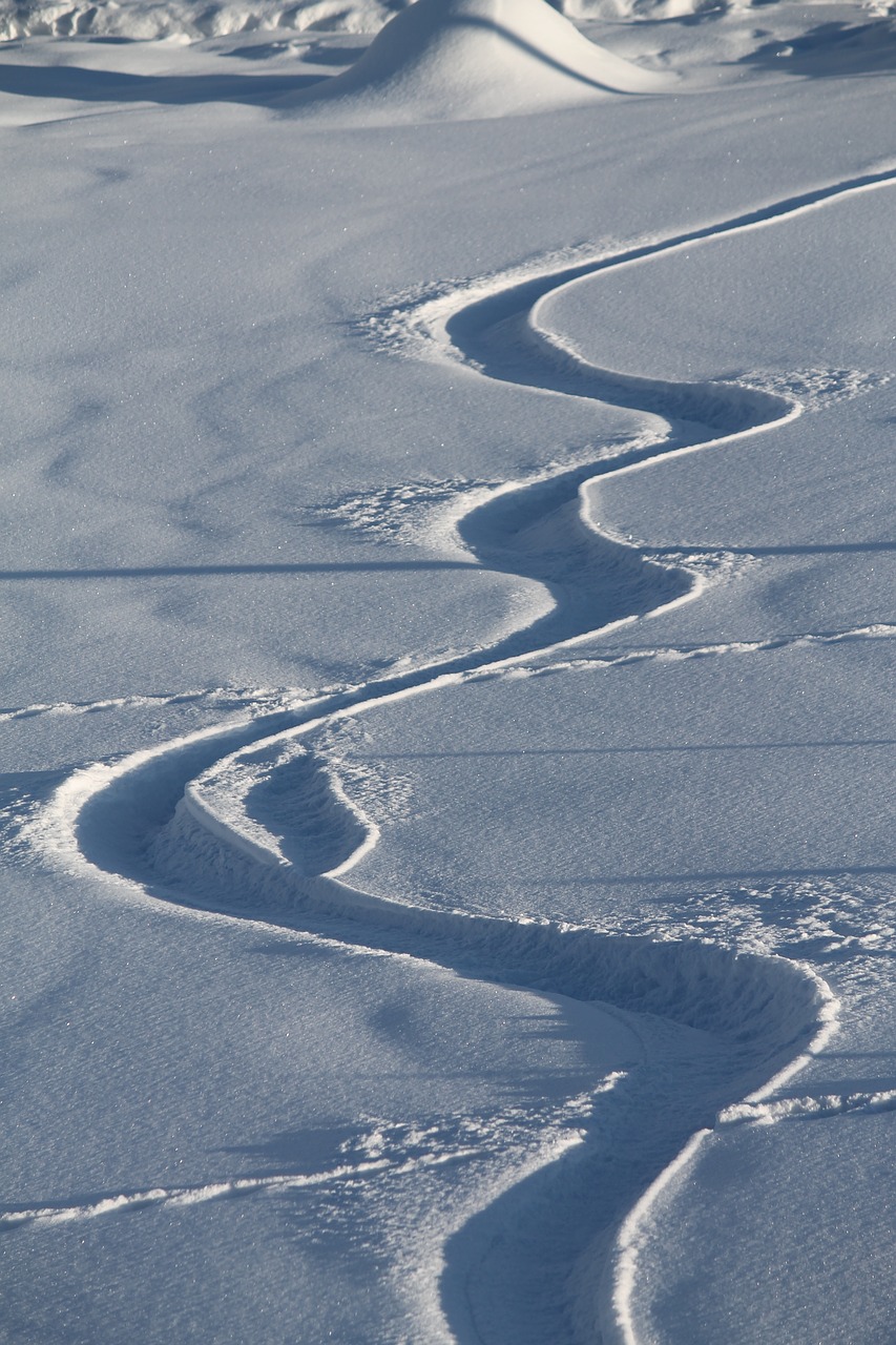 L’hiver arrive, place au snowboard !