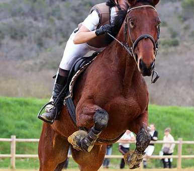 L’équitation : un sport plaisir