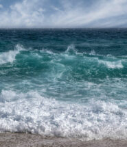 surf