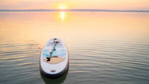paddleboard
